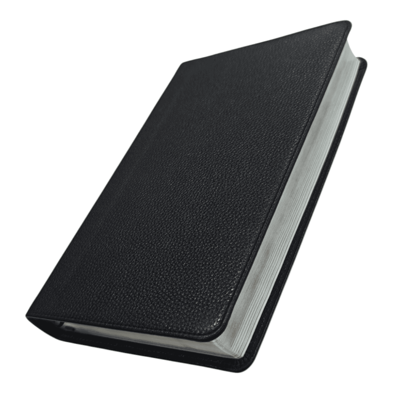 NIV Thinline Reference Bible – Slim Portable Design with Cross-References (ISBN: 9780310449713)