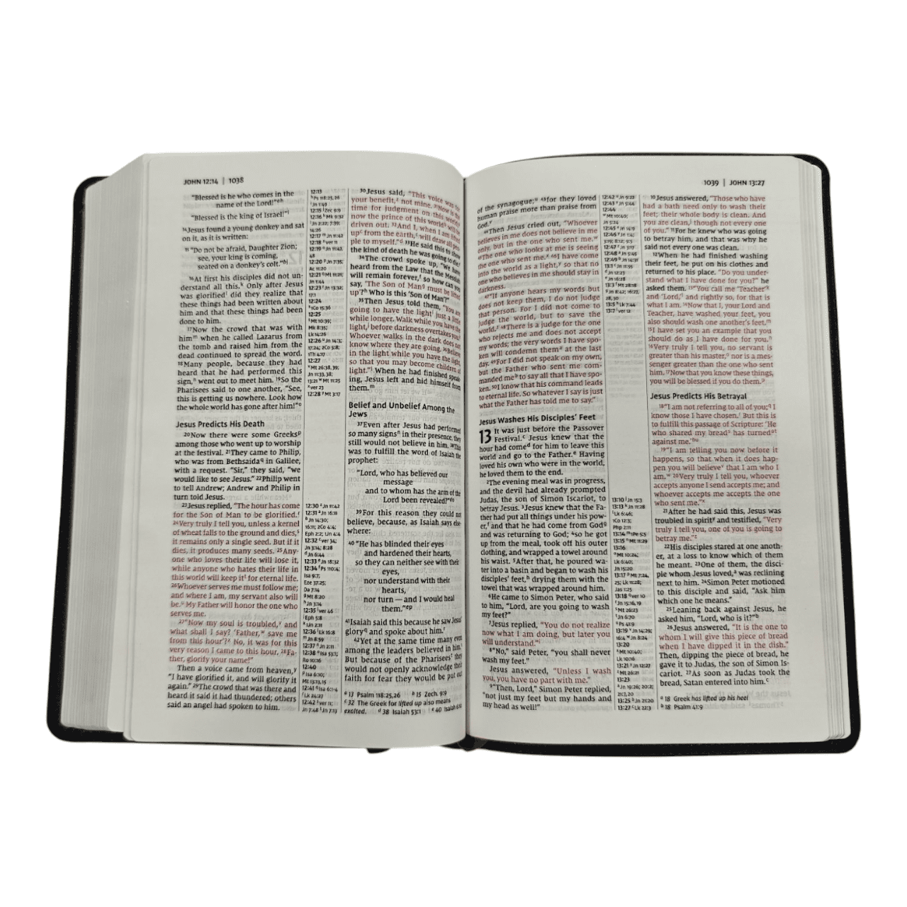 NIV Thinline Reference Bible – Slim Portable Design with Cross-References (ISBN: 9780310449713)