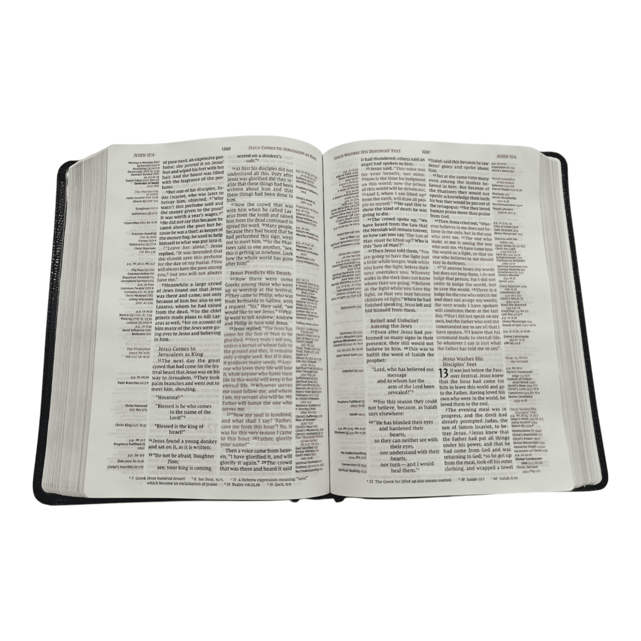 NIV Thompson Chain-Reference Bible – Comprehensive Verse-by-Verse Connections (ISBN: 9780310459835)