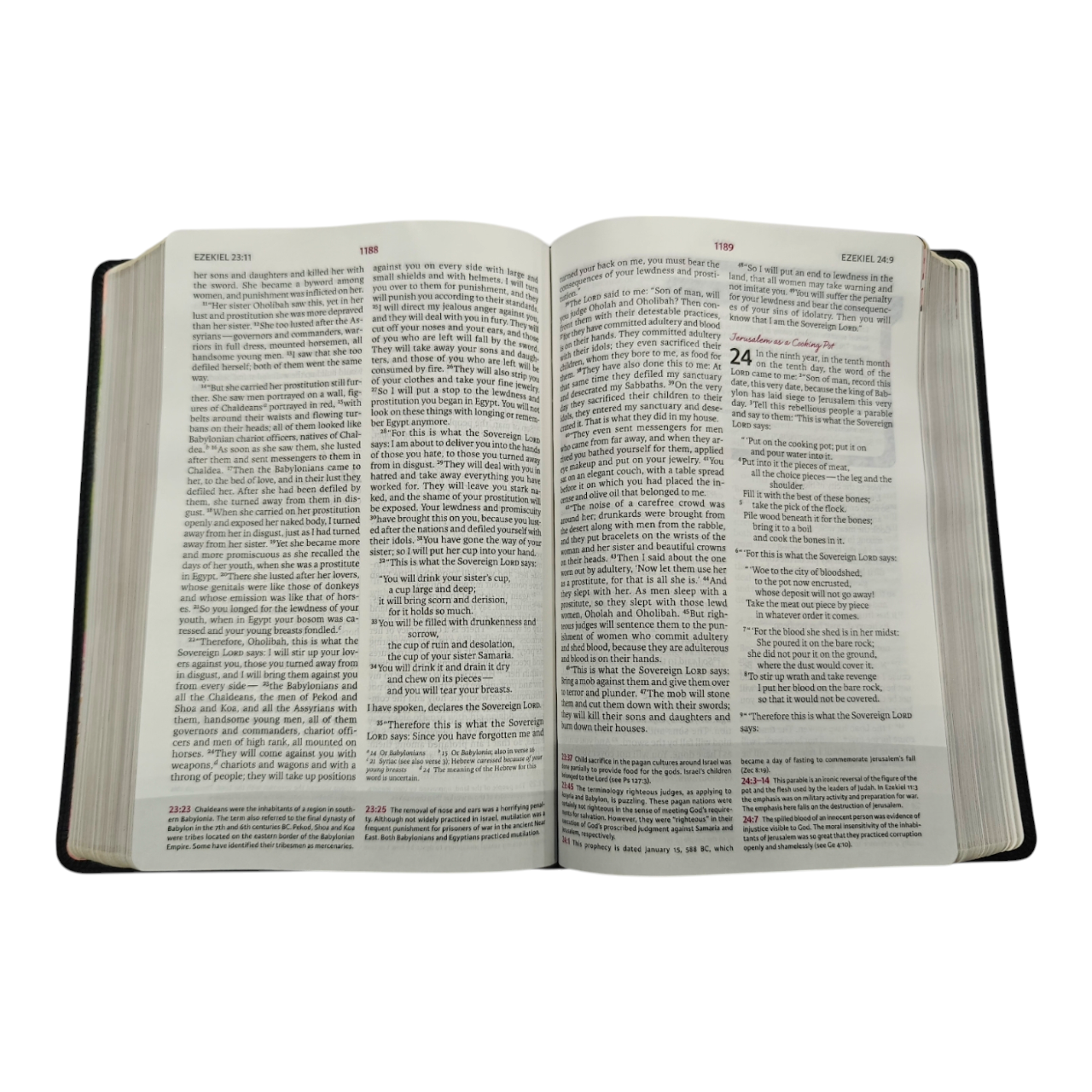 NIV The Woman's Study Bible – Hardcover, Full-Color, Devotional Insights & Commentary by Women for Women – ISBN 9780785257592