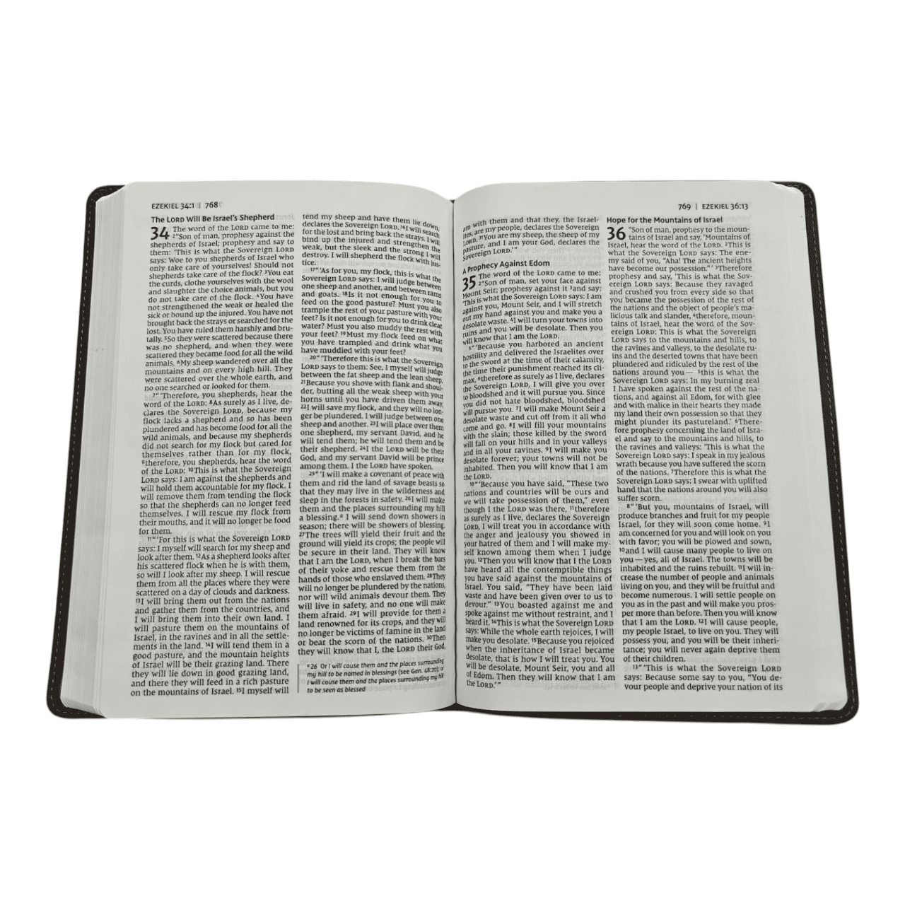 NIV Grace and Truth Study Bible with Thumb Index – Themed Study Notes & Quick Access (ISBN: 9780310447153)