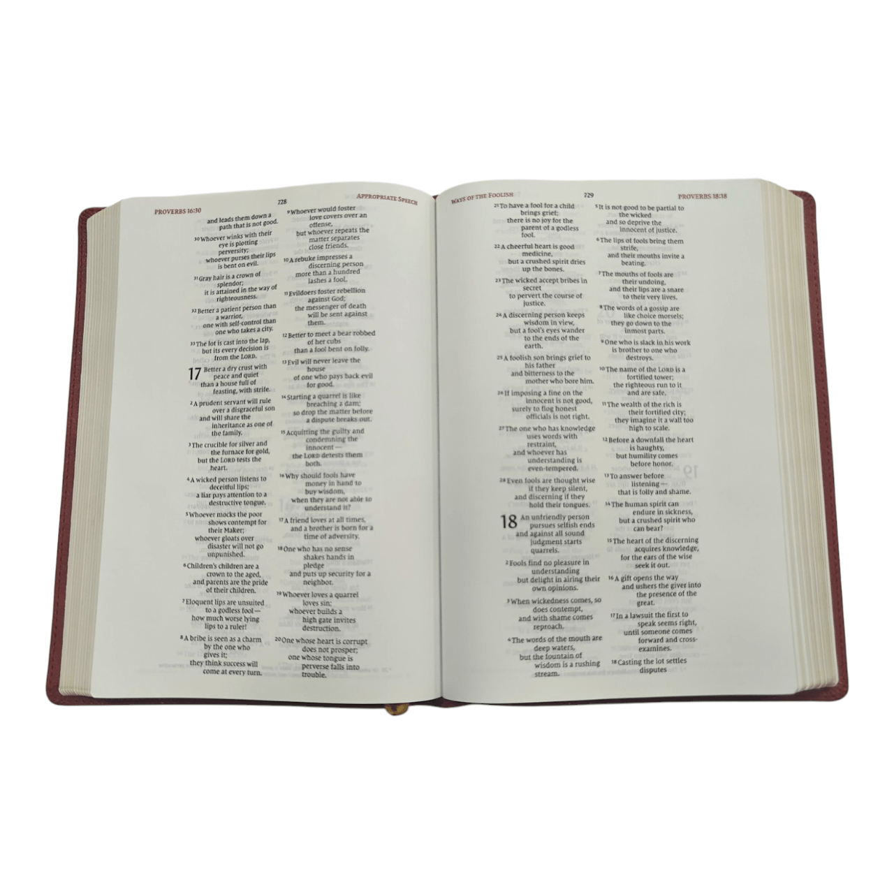 NIV Wide Margin Bible | English Language | Ideal for Note-Taking, Journaling, and Creative Bible Study