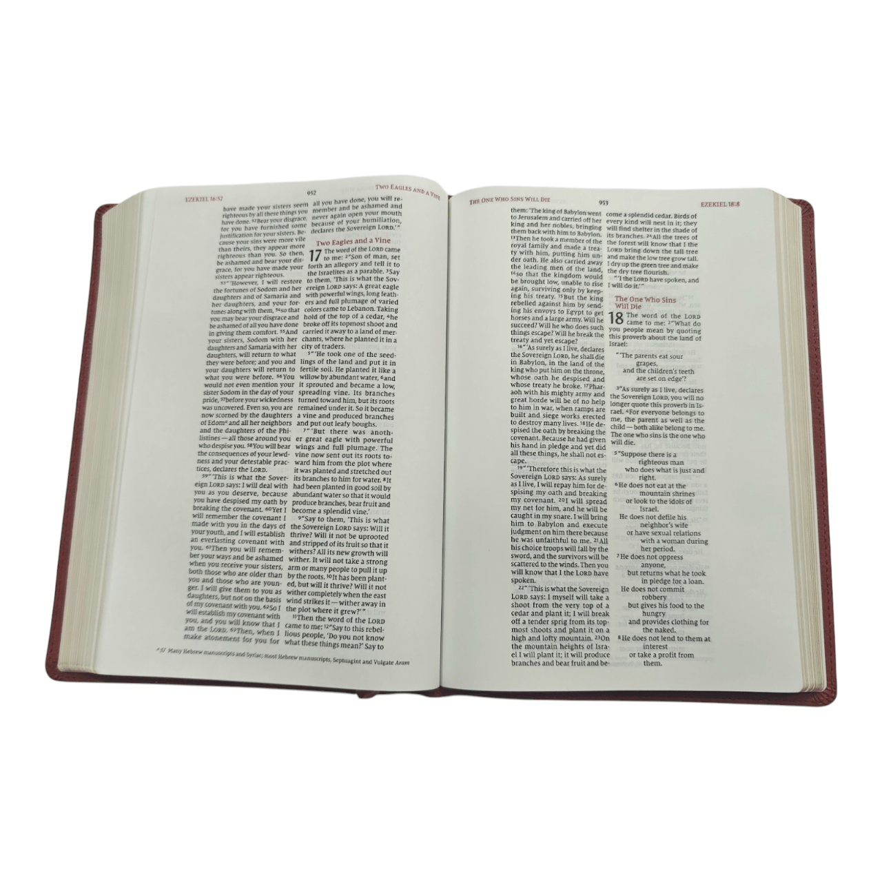 NIV Wide Margin Bible | English Language | Ideal for Note-Taking, Journaling, and Creative Bible Study