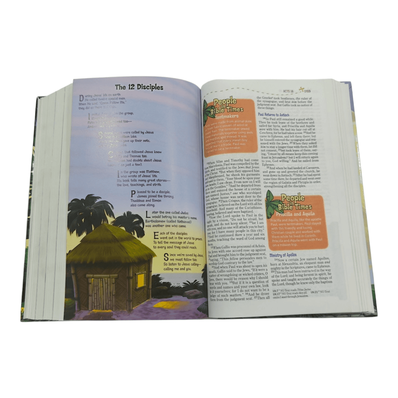 NKJV Adventure Bible – Full-Color Kids' Edition with Fun Features (ISBN: 9780310746263)
