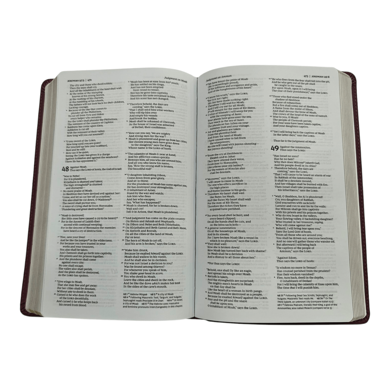 NKJV Deluxe Gift Bible – premium leather, red letter edition with gilded edges. A timeless heirloom for weddings, milestones, or gifting. ISBN: 9780718075217."