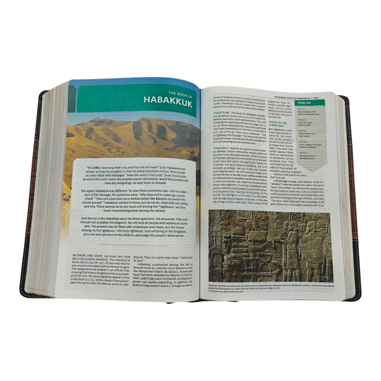 NKJV Study Bible, Full-Color, Third Edition, Hardcover – The Complete Resource for In-Depth Scripture Study (ISBN 9781400335282)
