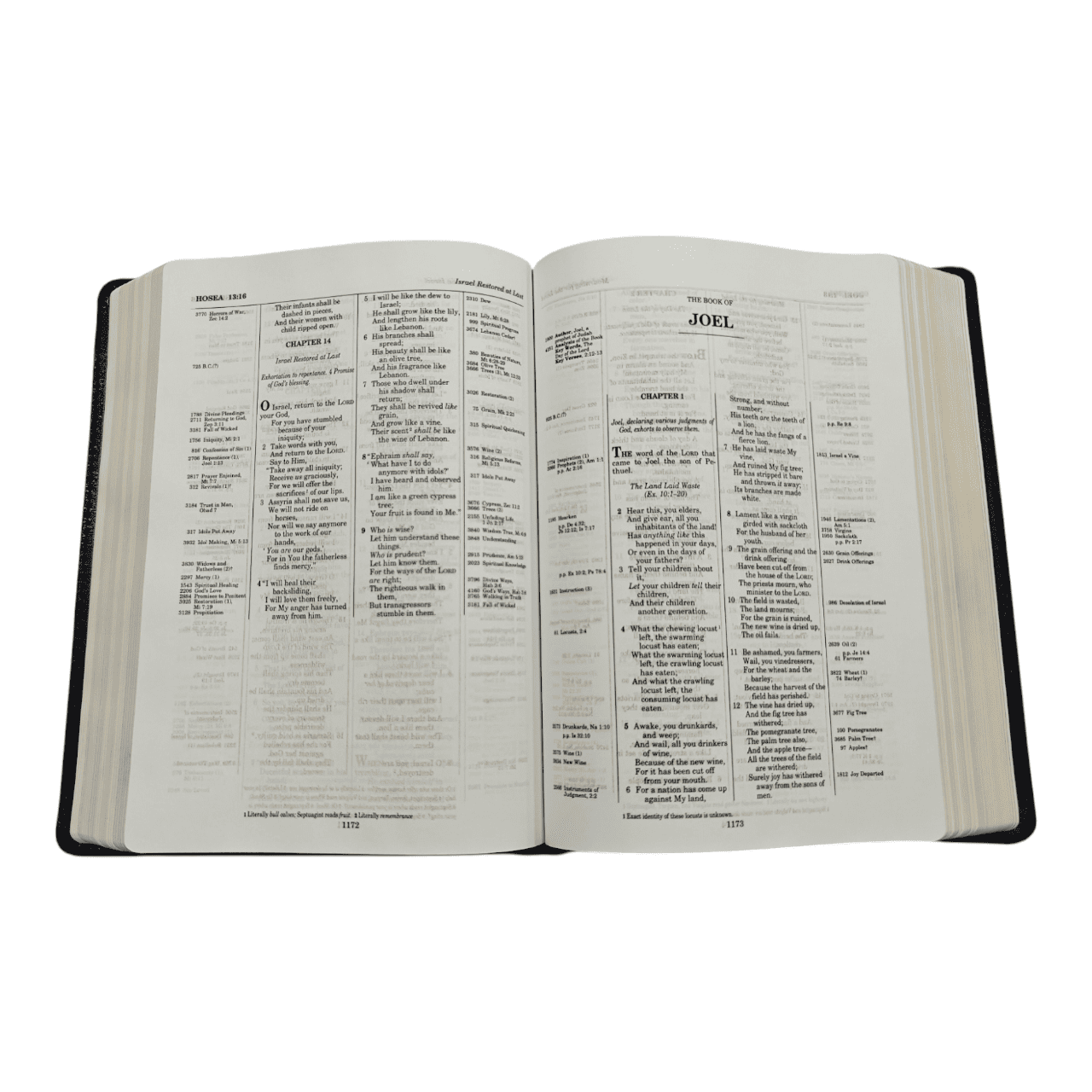 "NKJV Thompson Chain-Reference Bible – formal equivalence translation with legendary cross-referencing. Uncover Scripture’s interconnected narrative. ISBN: 9780310459996."
