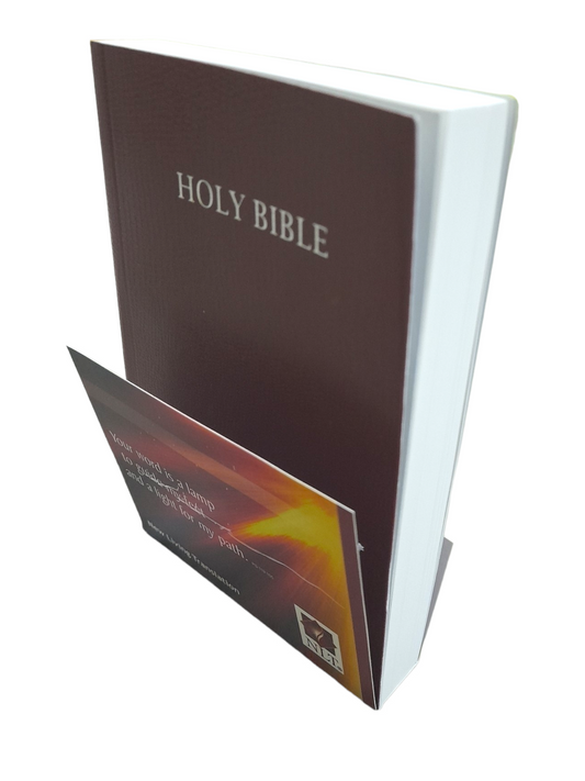 The Holy NLT Small Bible