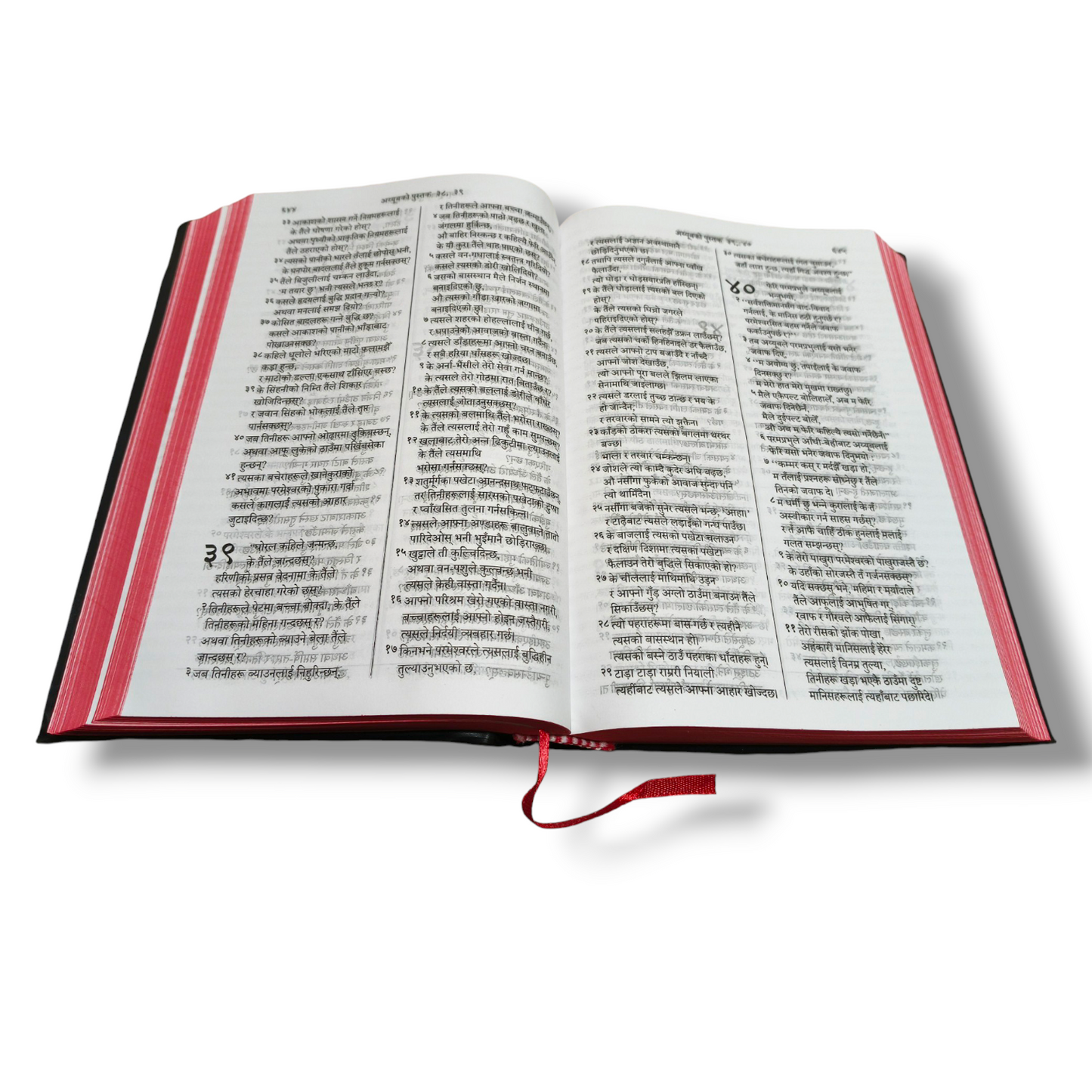 Napali Bible | The Holy Bible | Normal Size | Medium Size Bible | Red Edge Bible | New Edition