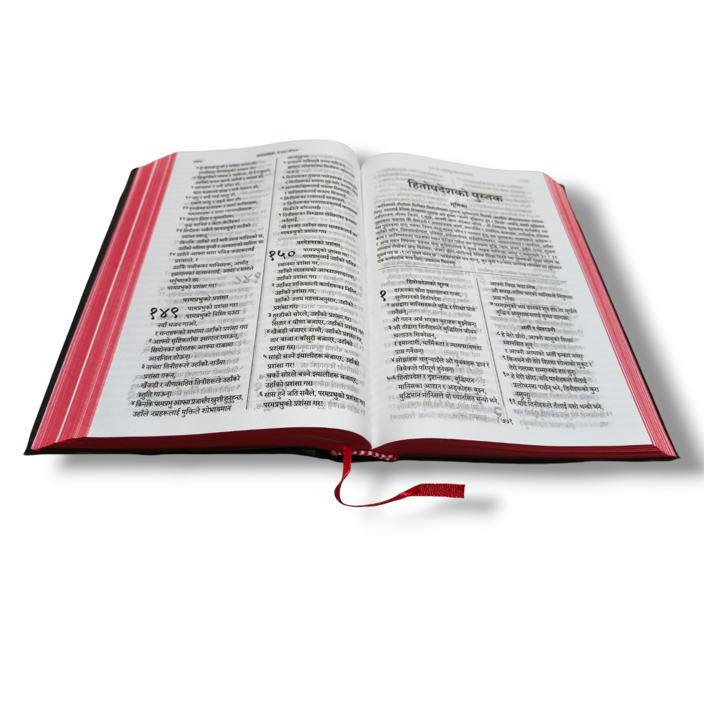 Napali Bible | The Holy Bible | Normal Size | Medium Size Bible | Red Edge Bible | New Edition