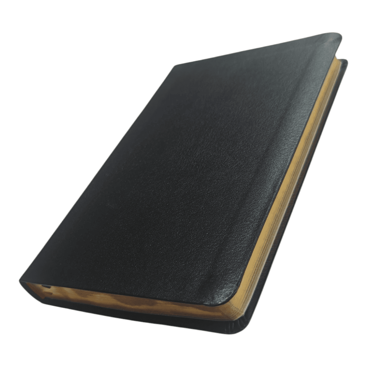 NASB Large Print Thinline Bible | New American Standard Version | Portable & Readable