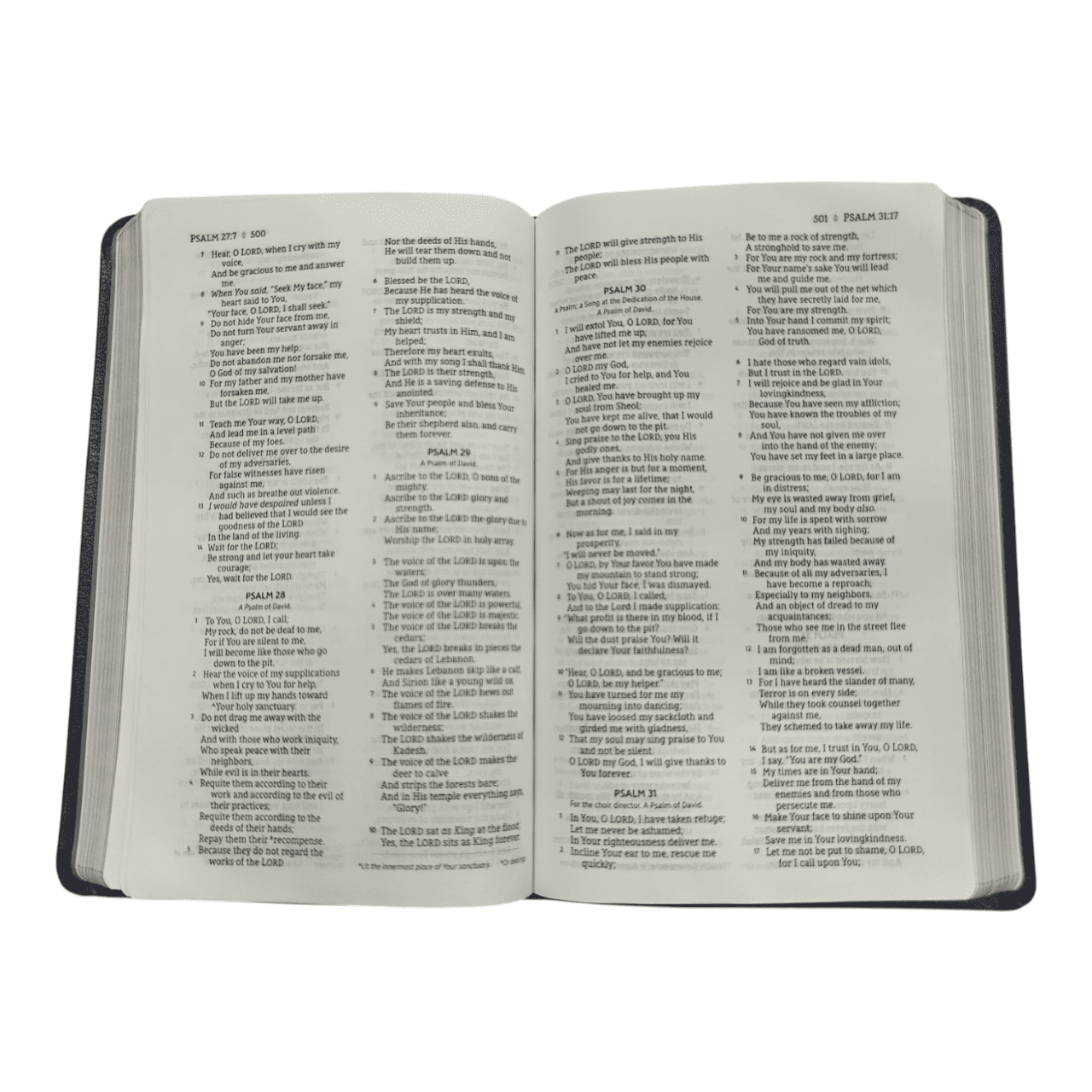 NASB Large Print Thinline Bible | New American Standard Version | Portable & Readable