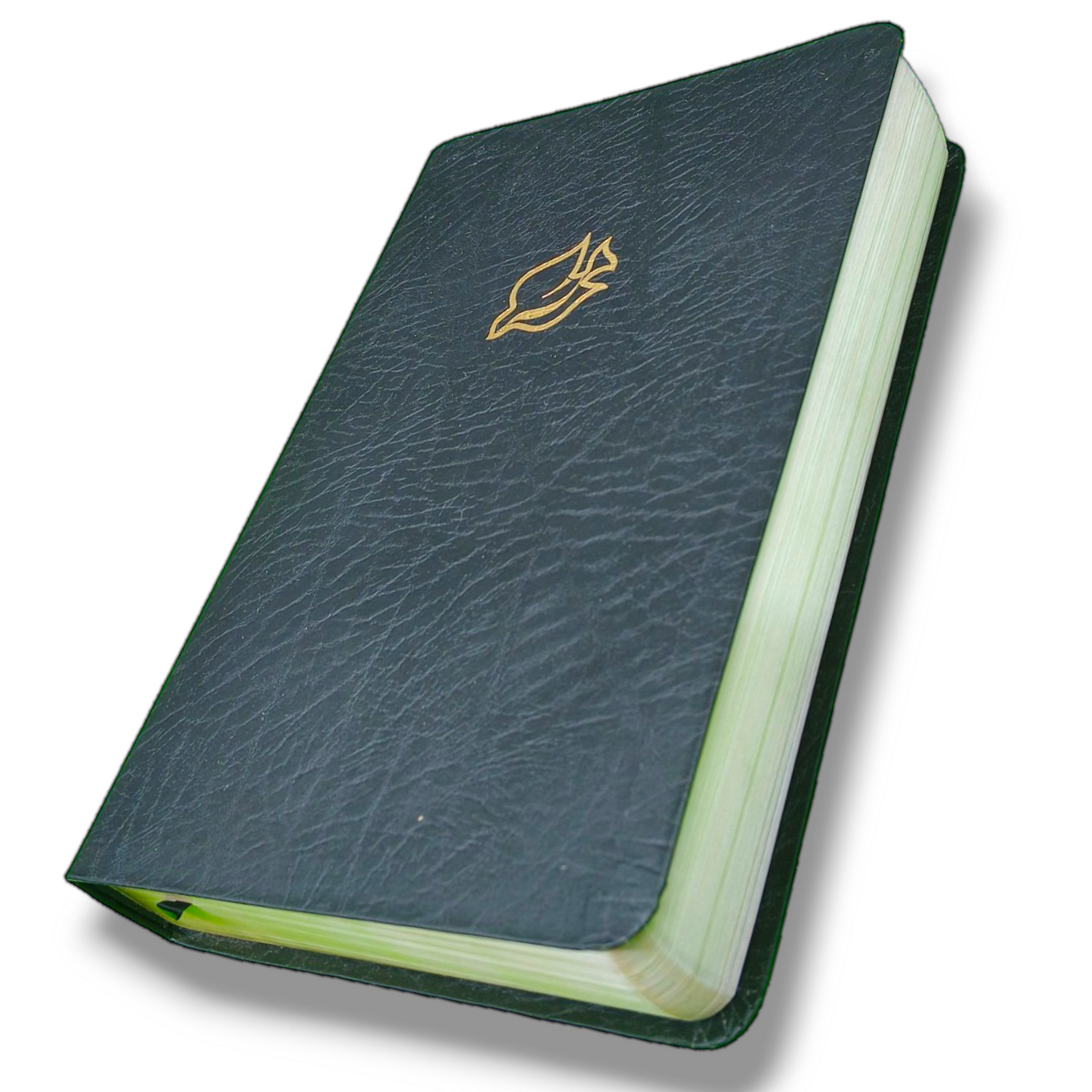 New Spirit Filled Life Bible | NIV Version | New Edition | Black Tan Soft Imitation Leather