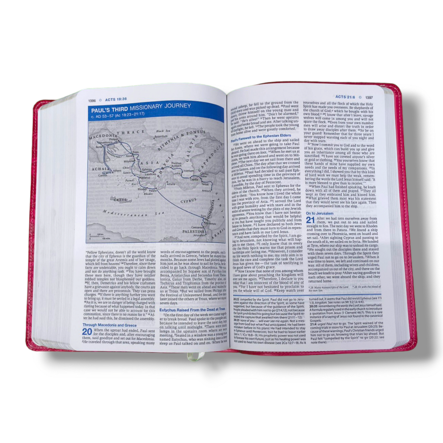 NIV Essentials Study Bible | New Edition | NIV Version | Attractive Pink Bound