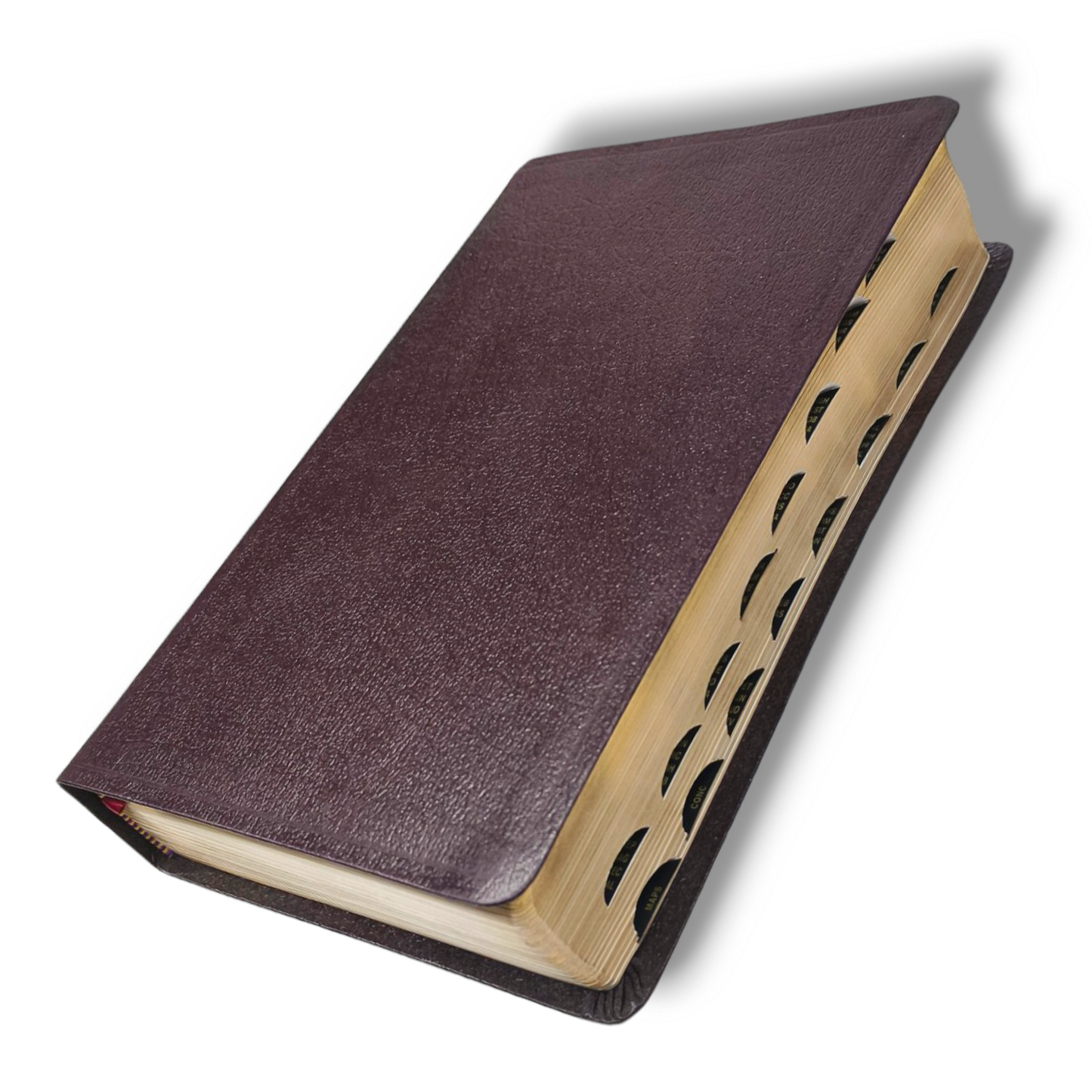 NIV, Reference Bible | Large Print | Thum Index | Leathersoft Tan/Brown | New Edition