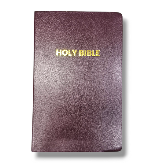NIV Holy Bible | Attractive Design with Lavender Italian Duo-Tone Bound | Medium Size | New Edition