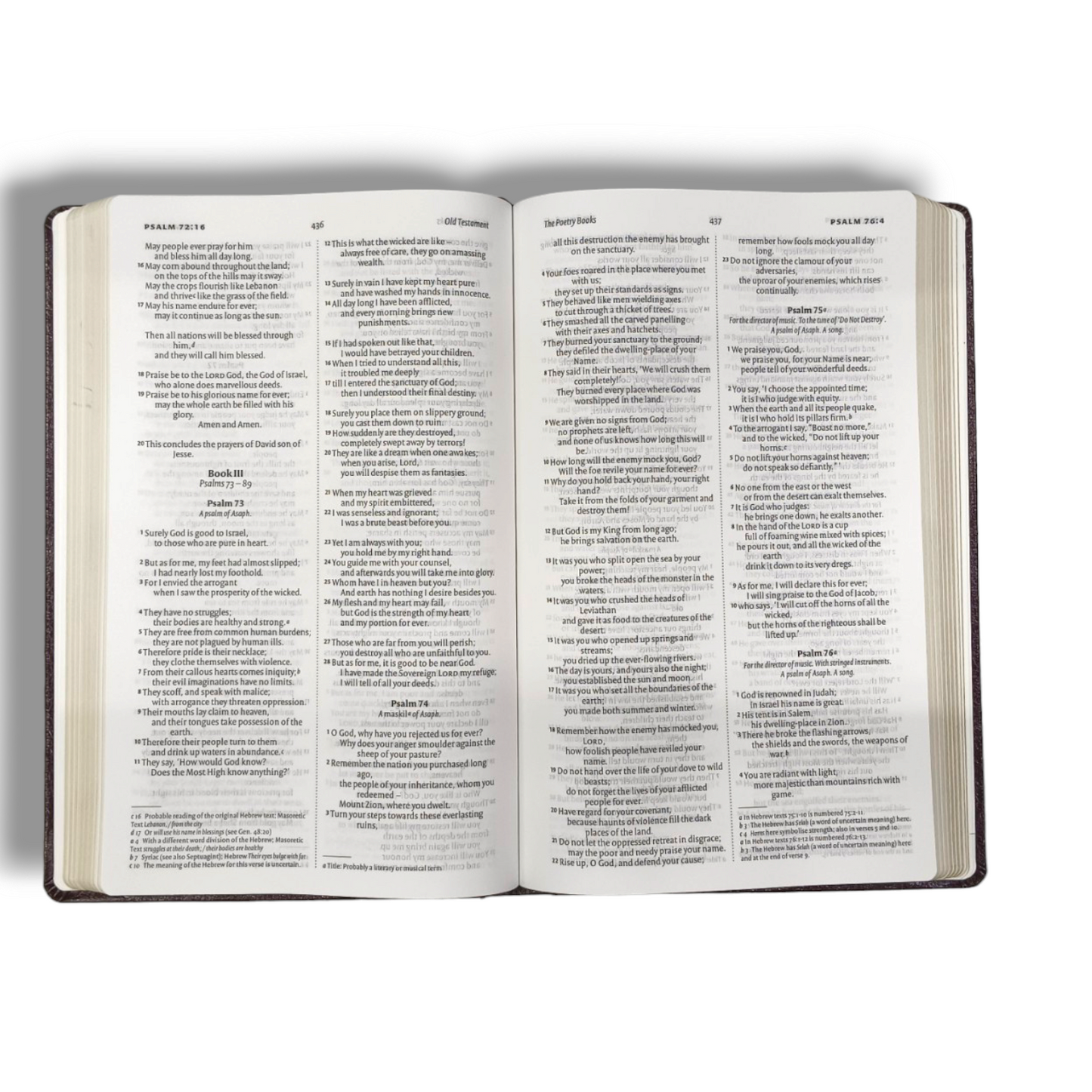 NIV Holy Bible | Attractive Design with Lavender Italian Duo-Tone Bound | Medium Size | New Edition