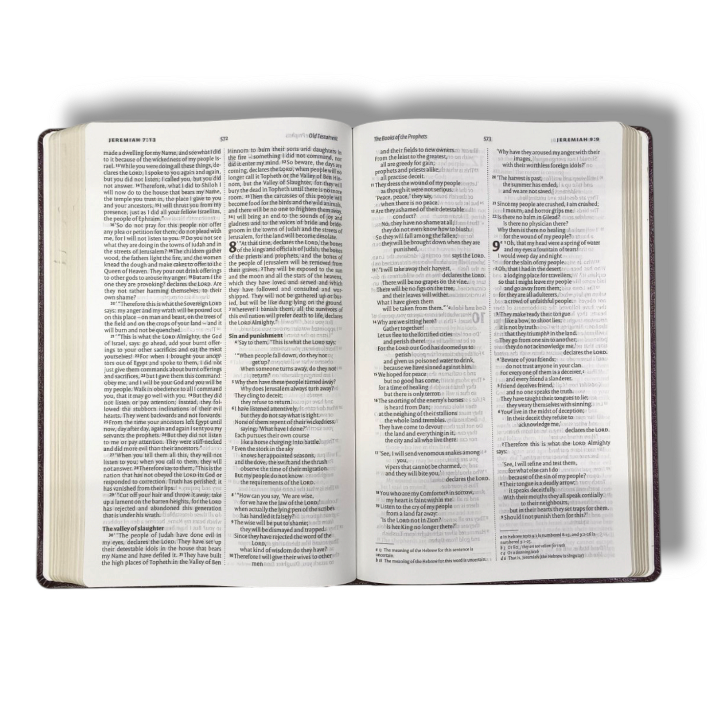 NIV Holy Bible | Attractive Design with Lavender Italian Duo-Tone Bound | Medium Size | New Edition