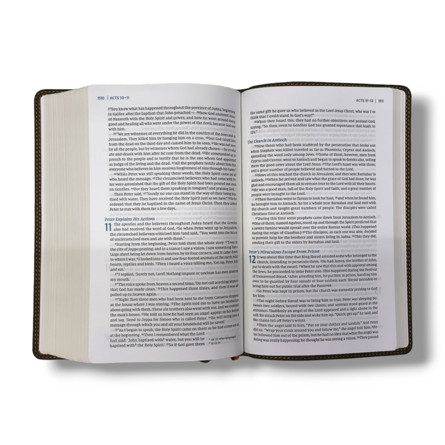 NIV HERITAGE BIBLE | STUDY BIBLE | Genuine Leather Bound | NEW EDITION