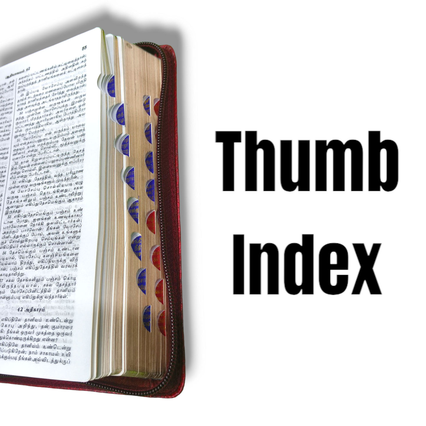 Tamil Bible With Thumb Index | Blue Color Cover With Zip | New Edition | Compact Size