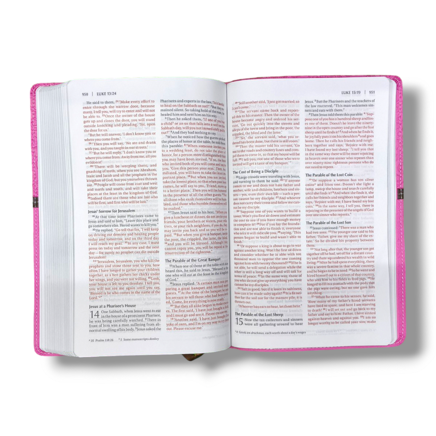 Holy Bible NIV Pink | Plum Italian Duo-Tone | Thinline  Lay-Flat  Thinline | Study Bible | New Edition