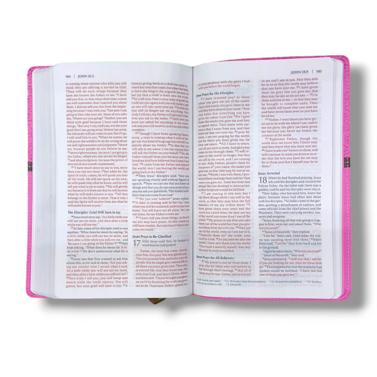 Holy Bible NIV Pink | Plum Italian Duo-Tone | Thinline  Lay-Flat  Thinline | Study Bible | New Edition