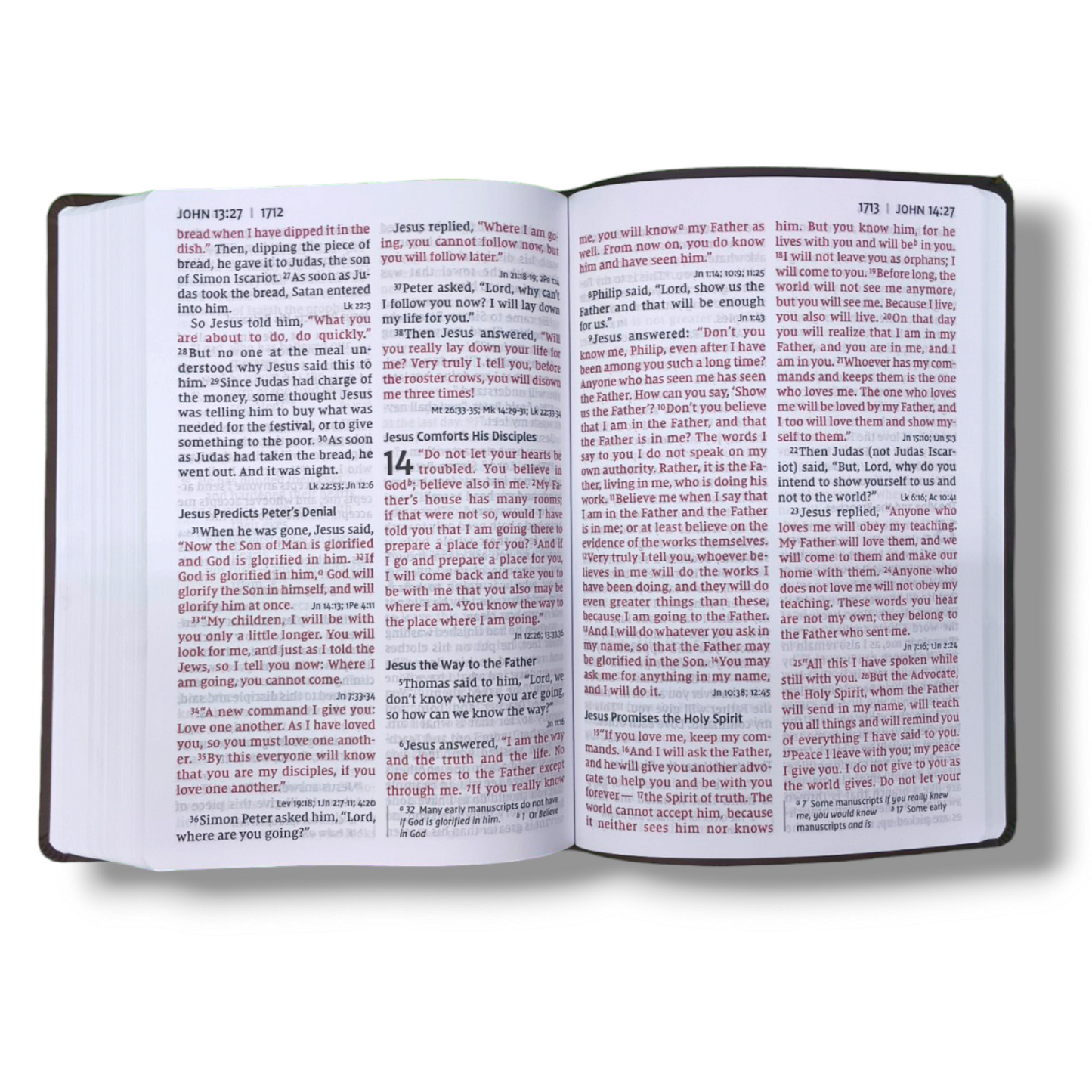 NIV SUPER GIANT PRINT REFERENCE BIBLE | REDLETTER | STUDY BIBLE | NEW EDITION