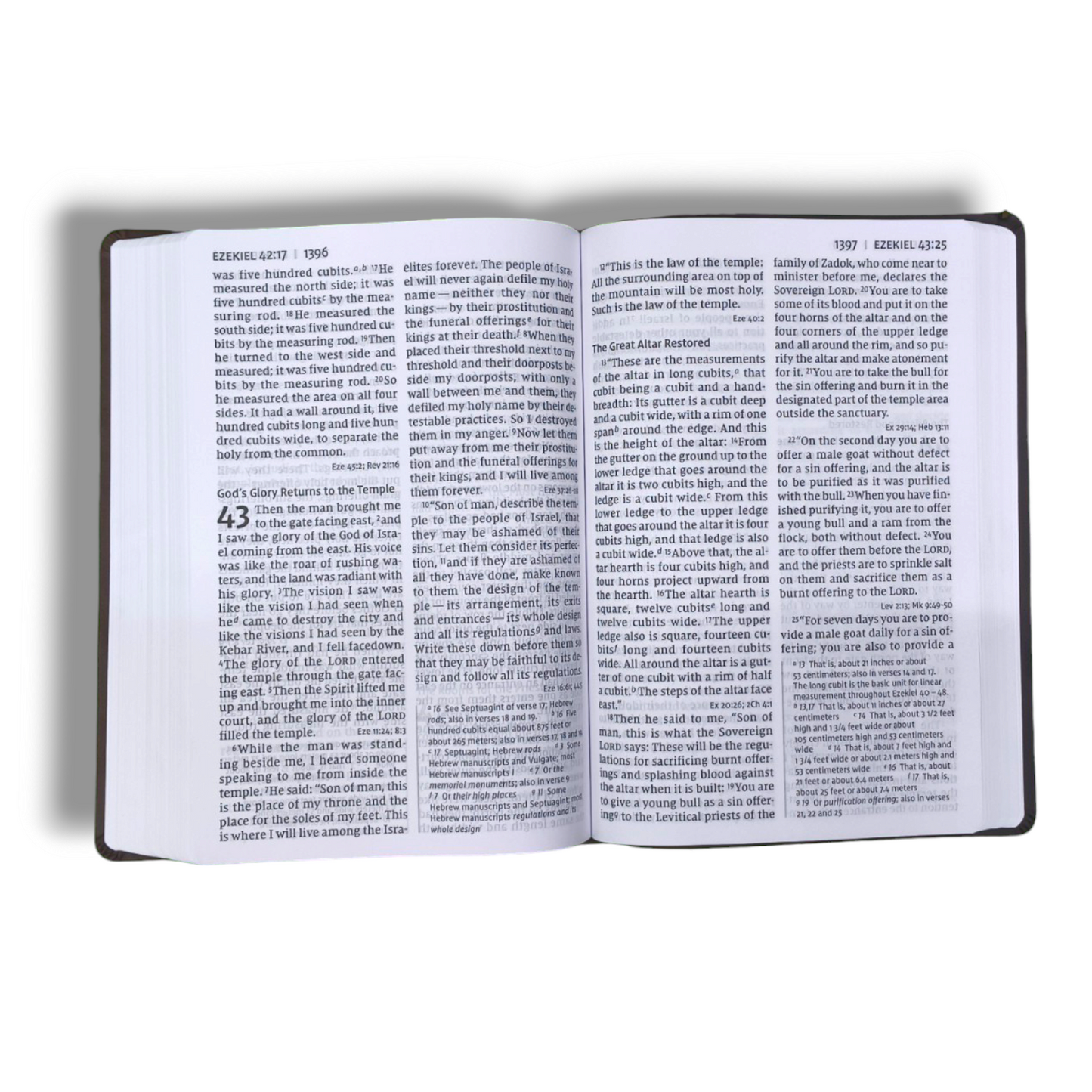 NIV SUPER GIANT PRINT REFERENCE BIBLE | REDLETTER | STUDY BIBLE | NEW EDITION