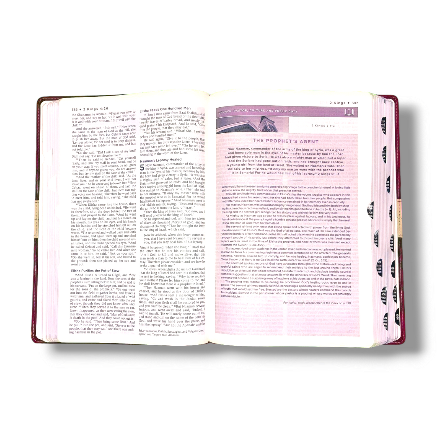 NKJV, Unapologetic Bible | Pink Attractive Design | Study Bible | Thumb Index Edition | New Editon