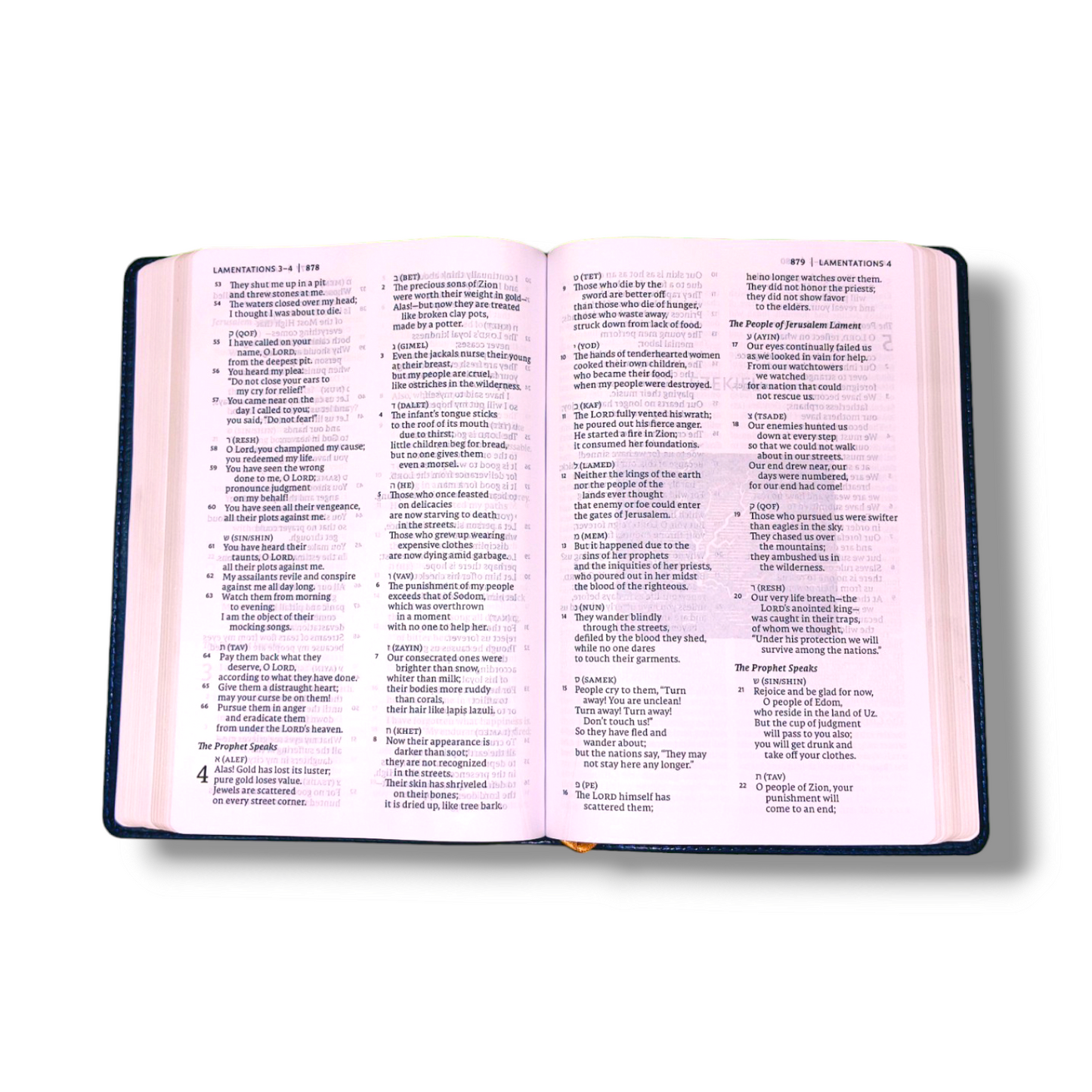 NET Bible Thinline | Art Edition | Large Print | Leathersoft  Blue Color Attractive Design | Comfort Print: Holy Bible | Study Bible