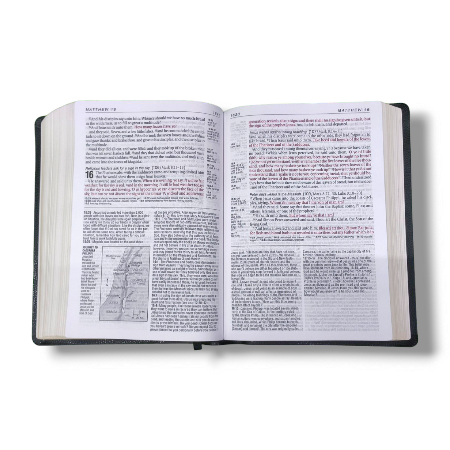 Life Application Study Bible | Large Print | With Red Letter |  Leathersoft Attractive Design | Comfort Print: Holy Bible | Study Bible