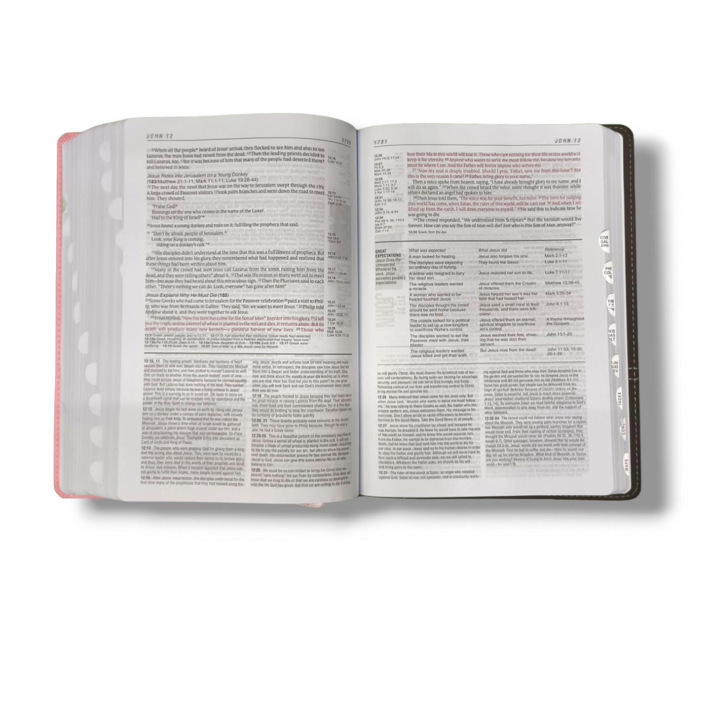 NLT Life Application Study Bible | Attractive Dark Brown/Pink Leather Edition | With Thumb Edition | New Edition