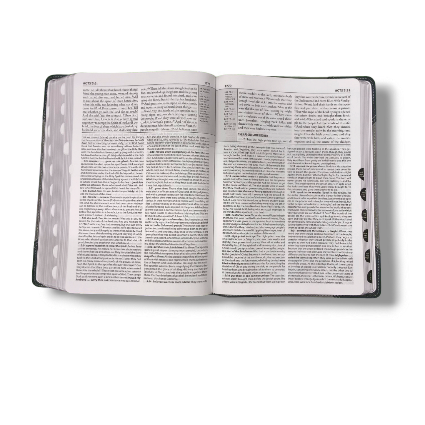 The Matthew Henry Study Bible | Hard Bound Edition | With Thumb Index | New Edition