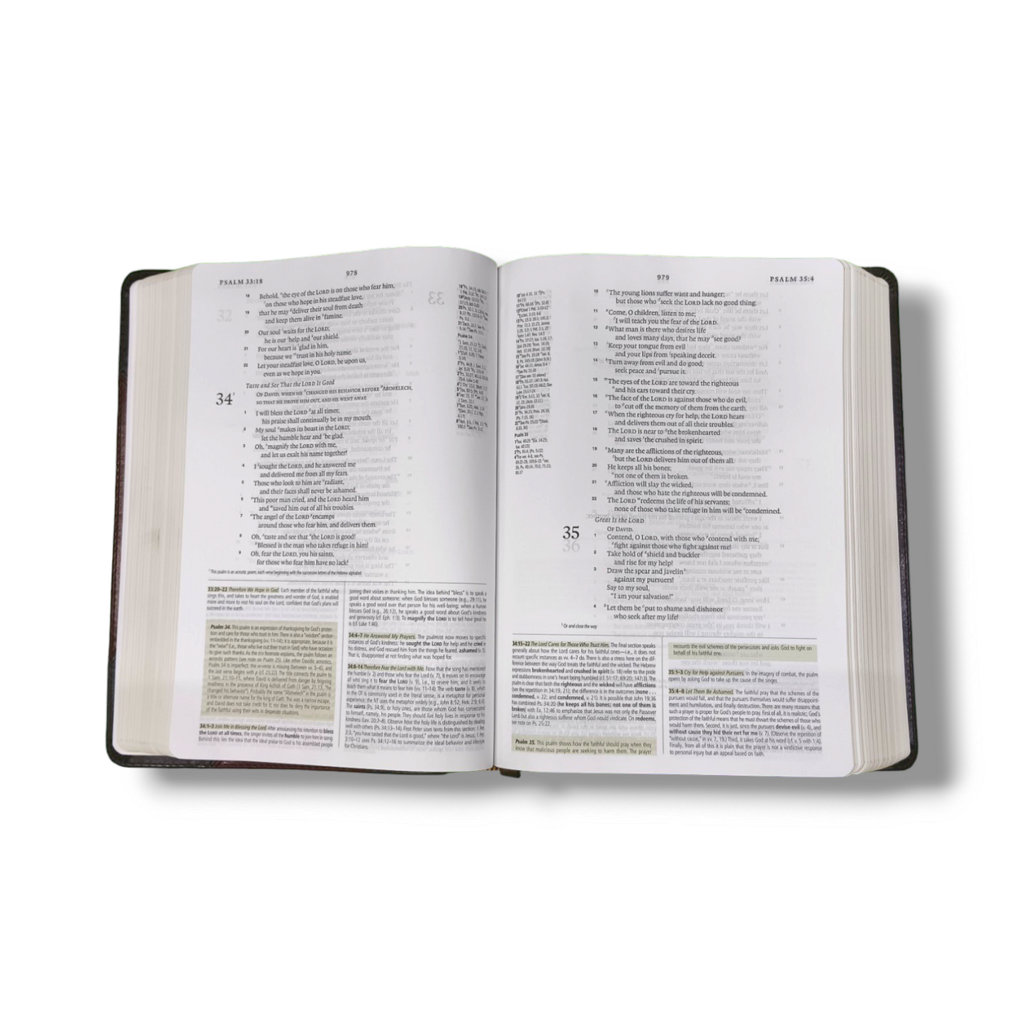 ESV Study Bible | Complete Reference System | Study Bible | Brown Leather Cover Edition | Personal Reference | With Related Pictures | New Edition