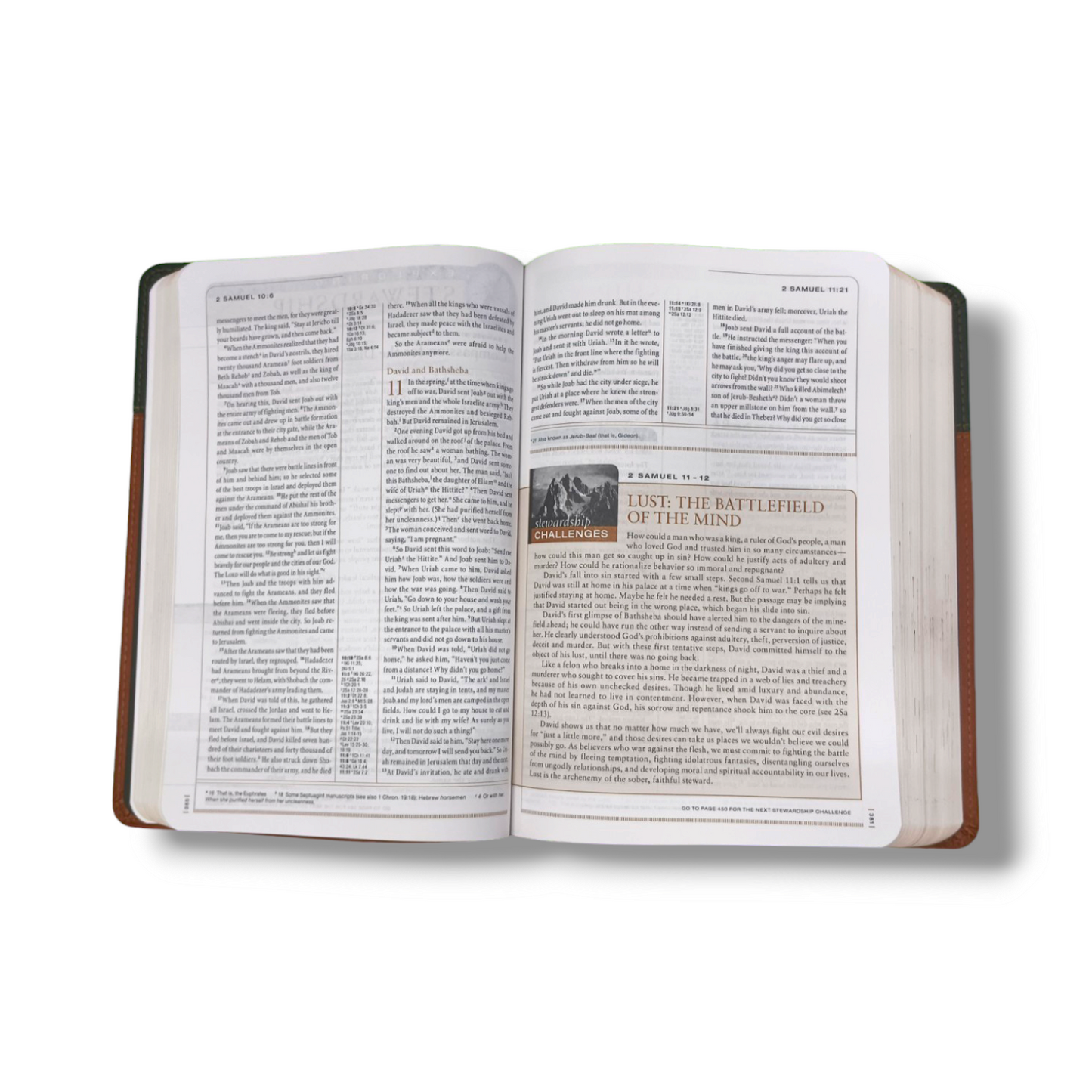 NKJV The Open Bible | Complete Reference System | Study Bible  Black Leather Cover Edition | Personal Reference | With Related Pictures  | New Edition