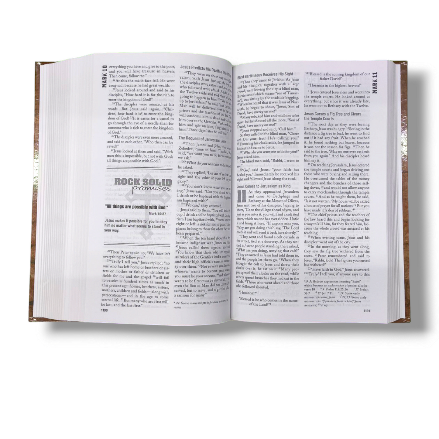 NIV Rock Solid Faith Bible | Study Bible | Hard Bound Edition | New Edition
