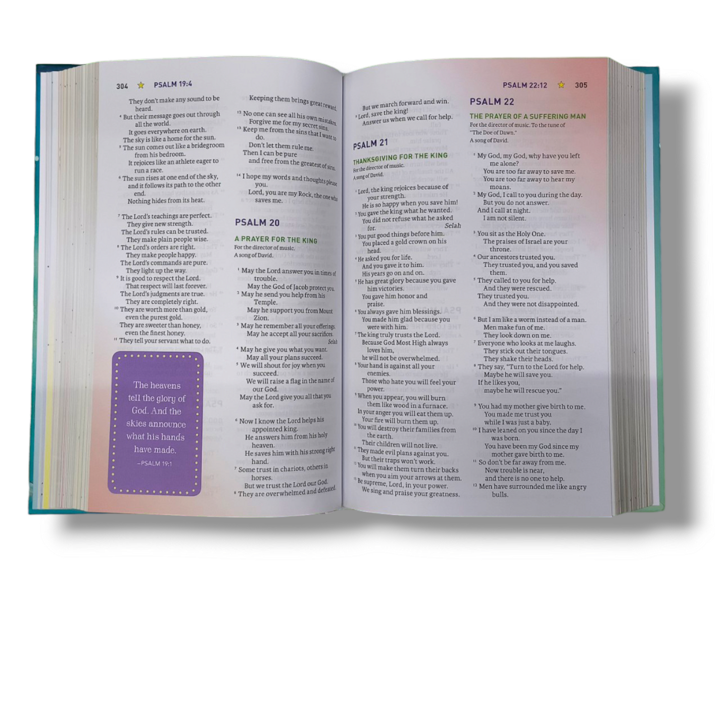 NIV Biblical Theology Bible | Study Bible | Hard Bound Edition | New Edition