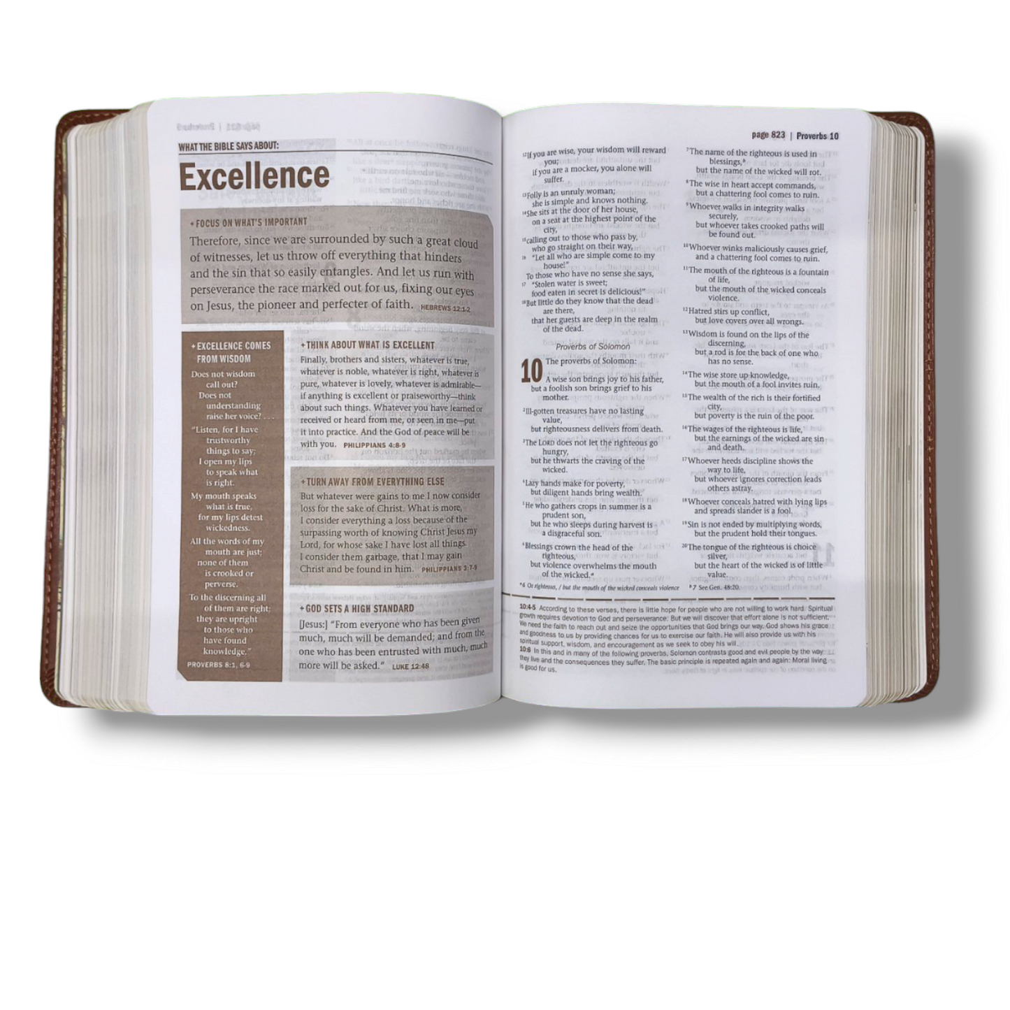 NIV Every Man's Bible | Deluxe Journeyman Edition Leather Brown | Study Bible | New Edition