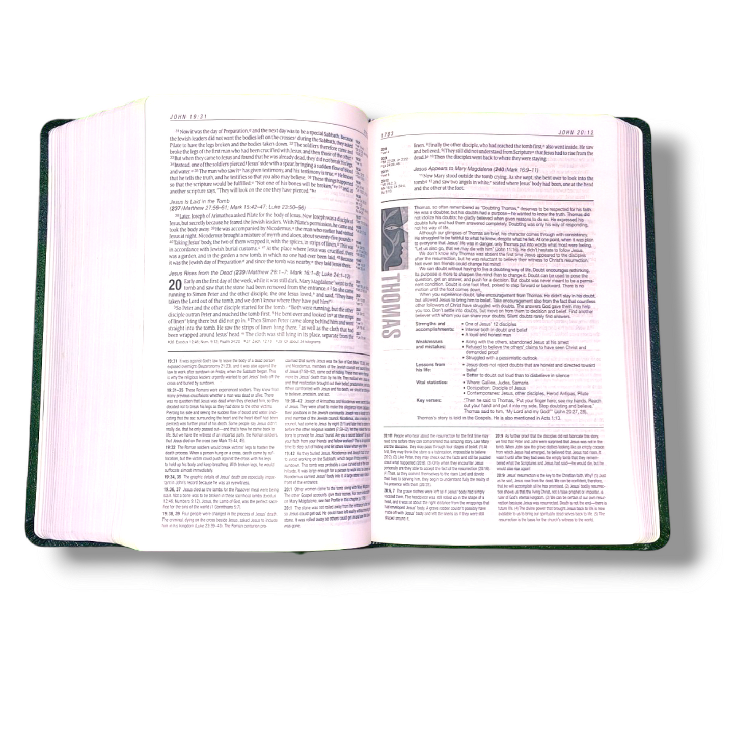 NIV Personal Size Life Application Study Bible | Leather Attractive Black Edition | Study Bible | New Edition