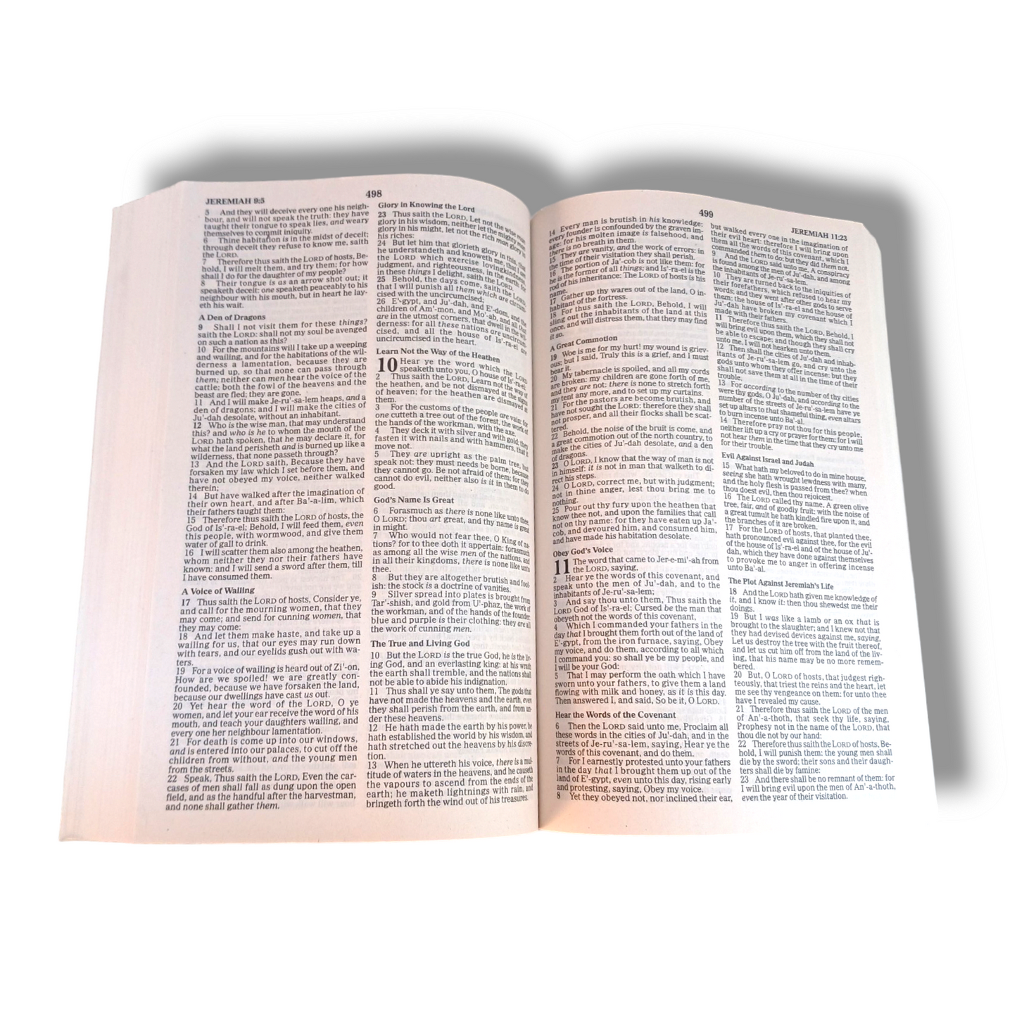 KJV Value Outreach Bible | Paper Bound Edition |  Holy Bible King James Version | New Edition