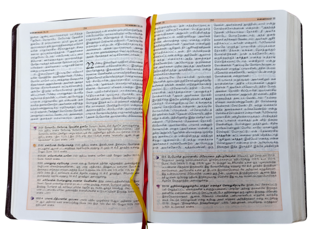 TAMIL STUDY BIBLE - Large Size/BSI (Hardcover, Tamil, Word of God - BSI)