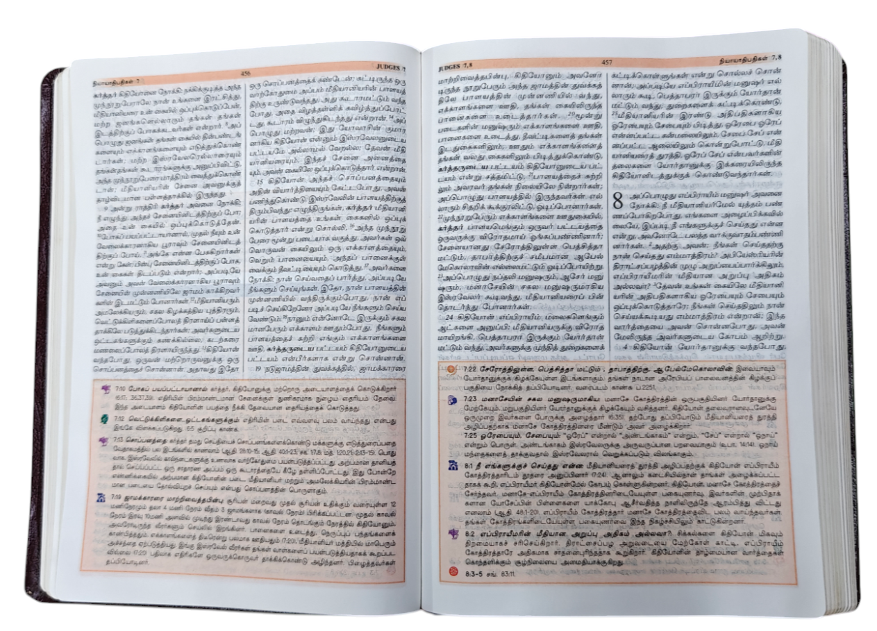 TAMIL STUDY BIBLE - Large Size/BSI (Hardcover, Tamil, Word of God - BSI)