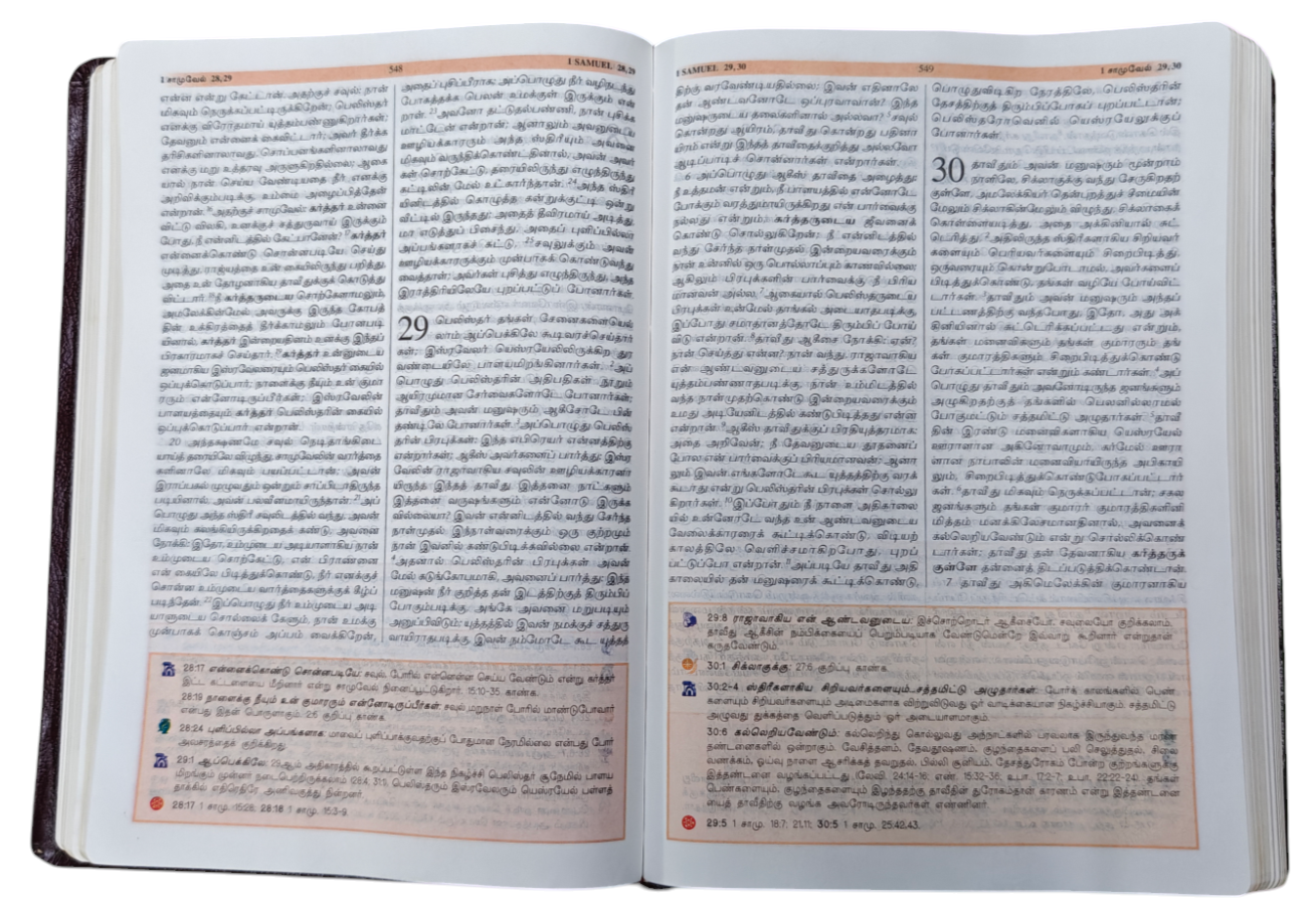 TAMIL STUDY BIBLE - Large Size/BSI (Hardcover, Tamil, Word of God - BSI)