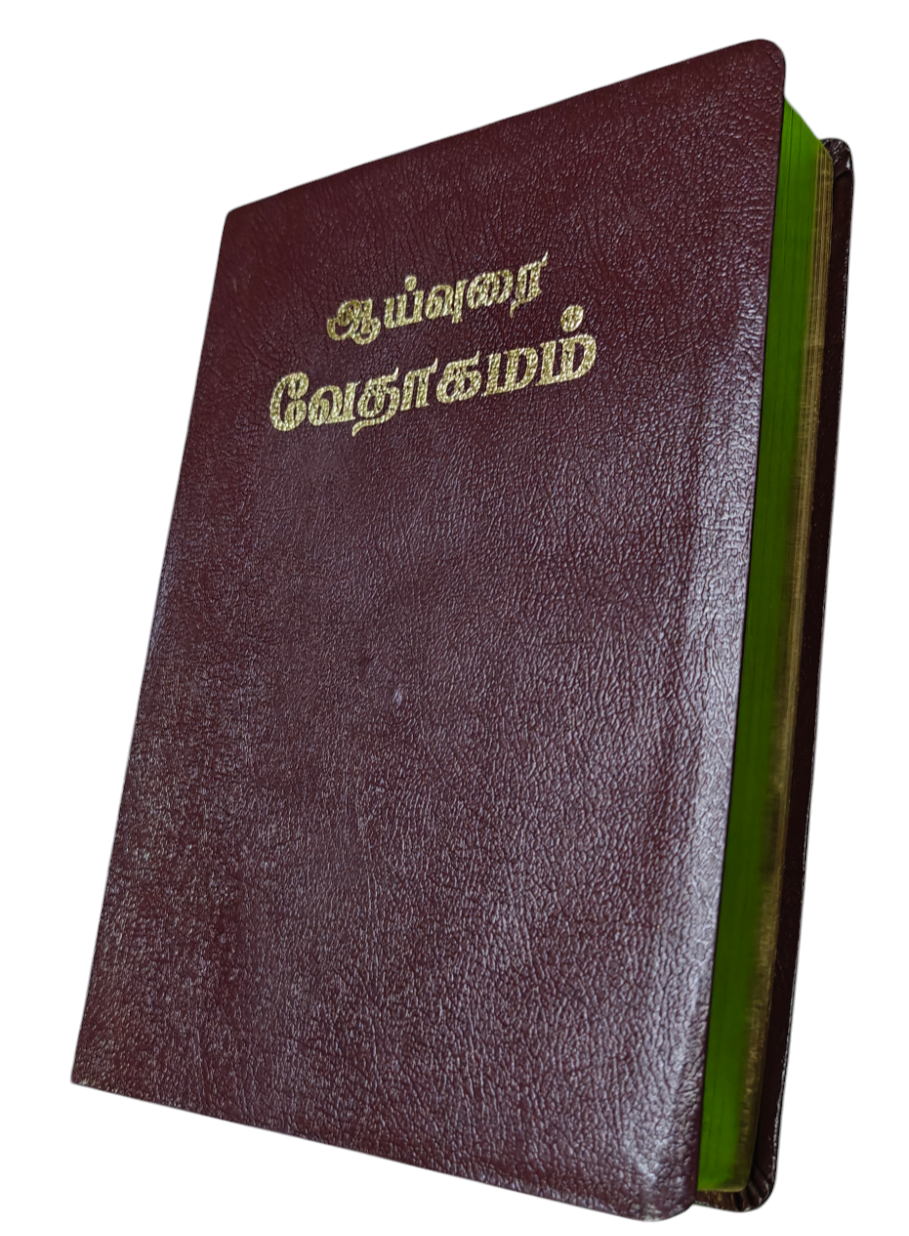 TAMIL STUDY BIBLE - Large Size/BSI (Hardcover, Tamil, Word of God - BSI)