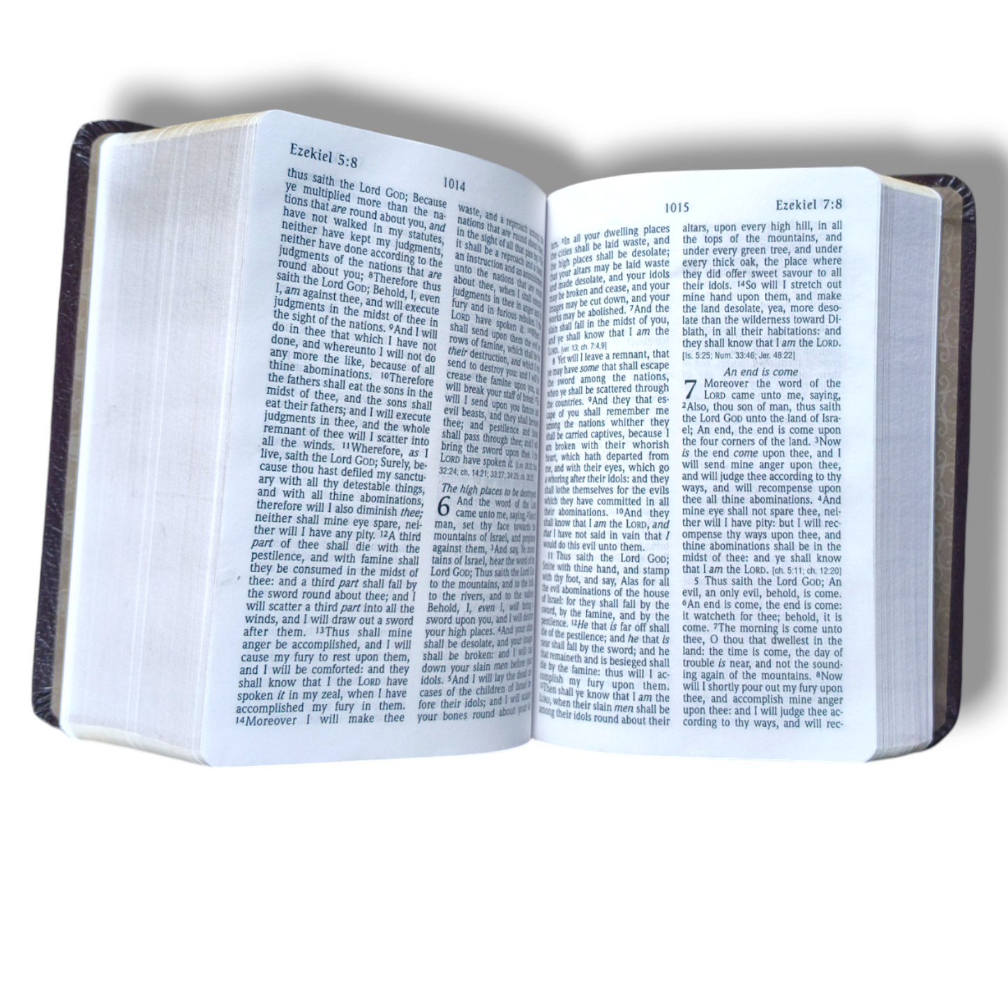 NET Bible Large Print | Thinline Reference Edition | British Tan Leather soft Bounded | Concordance | Full - Color Map's | New Edition