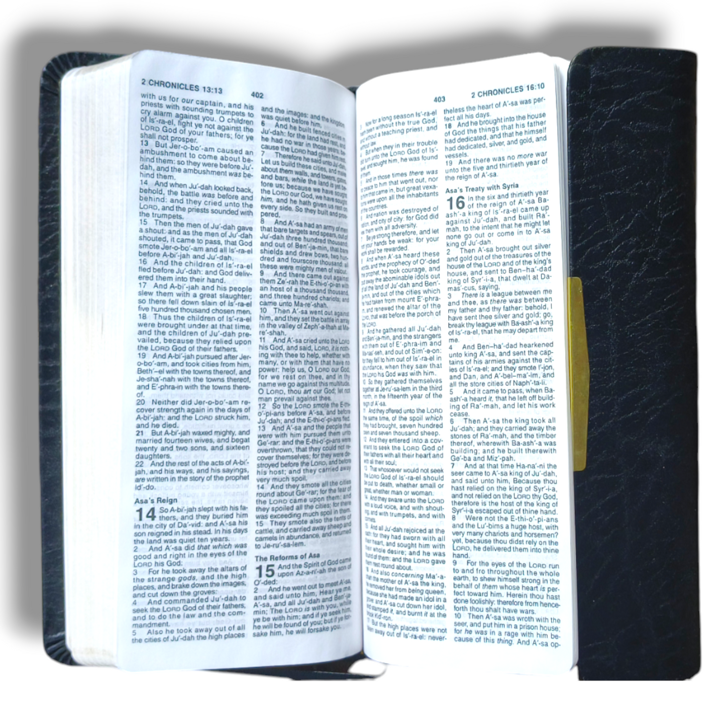KJV Check Book Bible | Black Bonded Flap Leather Edition | Classic Series Edition | Self-Pronouncing Text | Red Letter Bible | New Edition