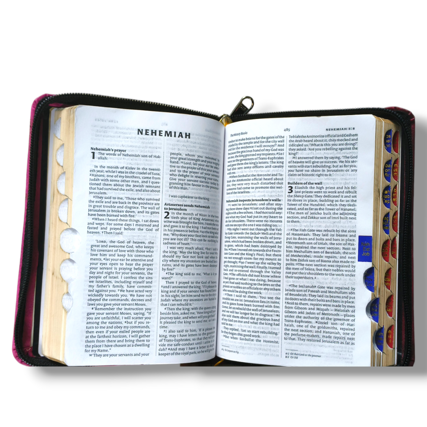 NIV Compact Edition Bible | Thumb Index Bible | With Light Brown Attractive Design Bound |  New Edition Bible Duo-Tone