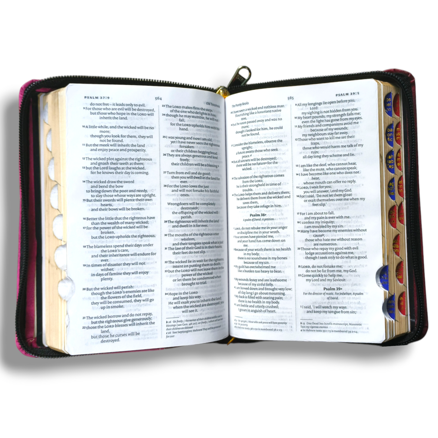 NIV Compact Edition Bible | Thumb Index Bible | With Maroon & Pink Attractive Design Bound |  New Edition Bible Duo-Tone