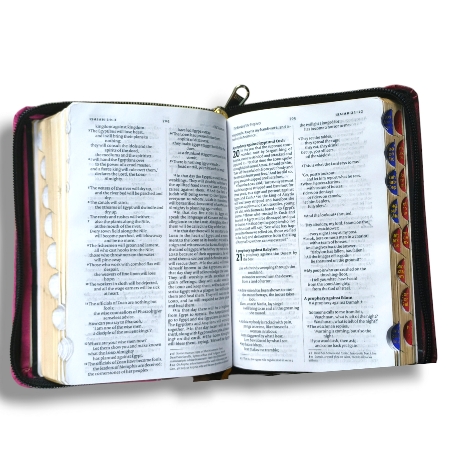 NIV Compact Edition Bible | Thumb Index Bible | Attractive Design Bound |  New Edition Bible Duo-Tone | D2