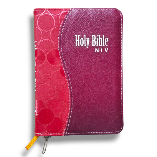 NIV Compact Edition Bible | Thumb Index Bible | With Light Brown & Red Attractive Design Bound |  New Edition Bible Duo-Tone | D5